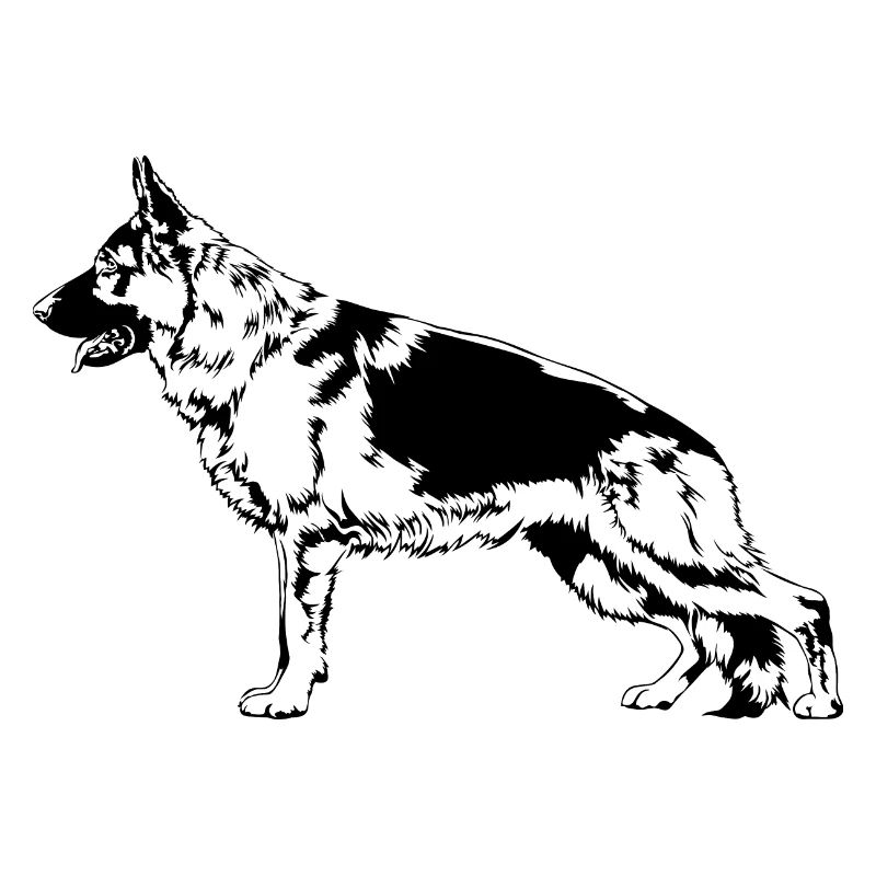 DEUTSCHER SCHÄFERHUND Hunde Hund IGP Wilsigns