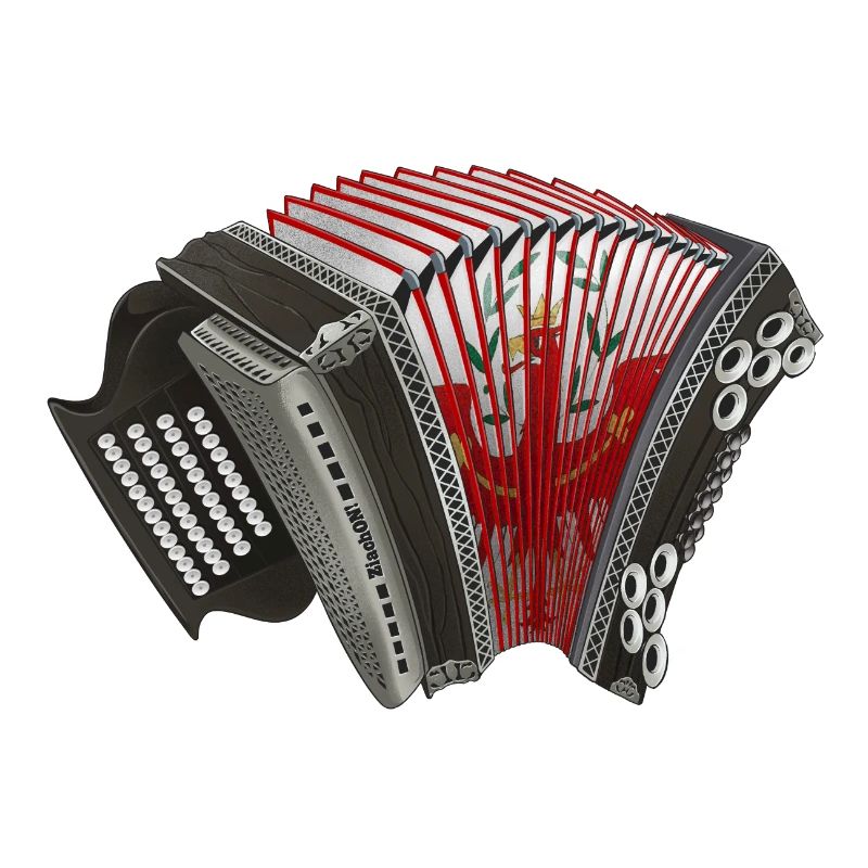Harmonica de Styrie - Tyrol / Tyrol du Sud | ZiachON !