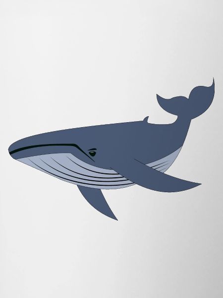 Baleine bleue, baleine