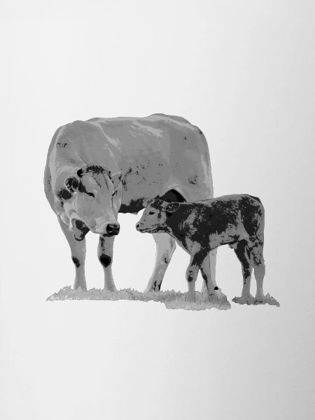 Vache avec veau