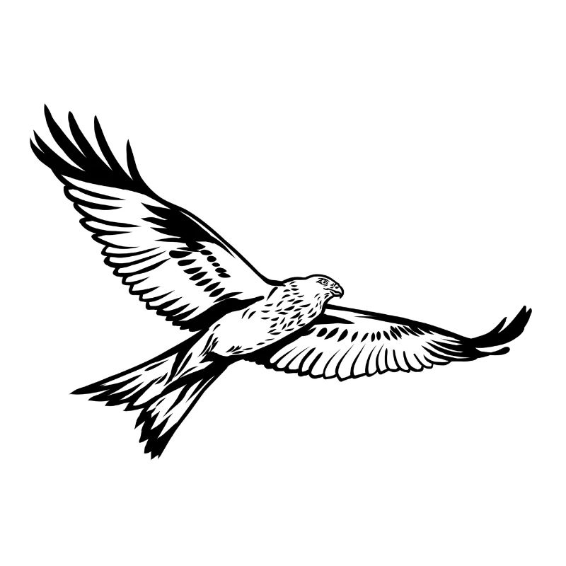 Red kite