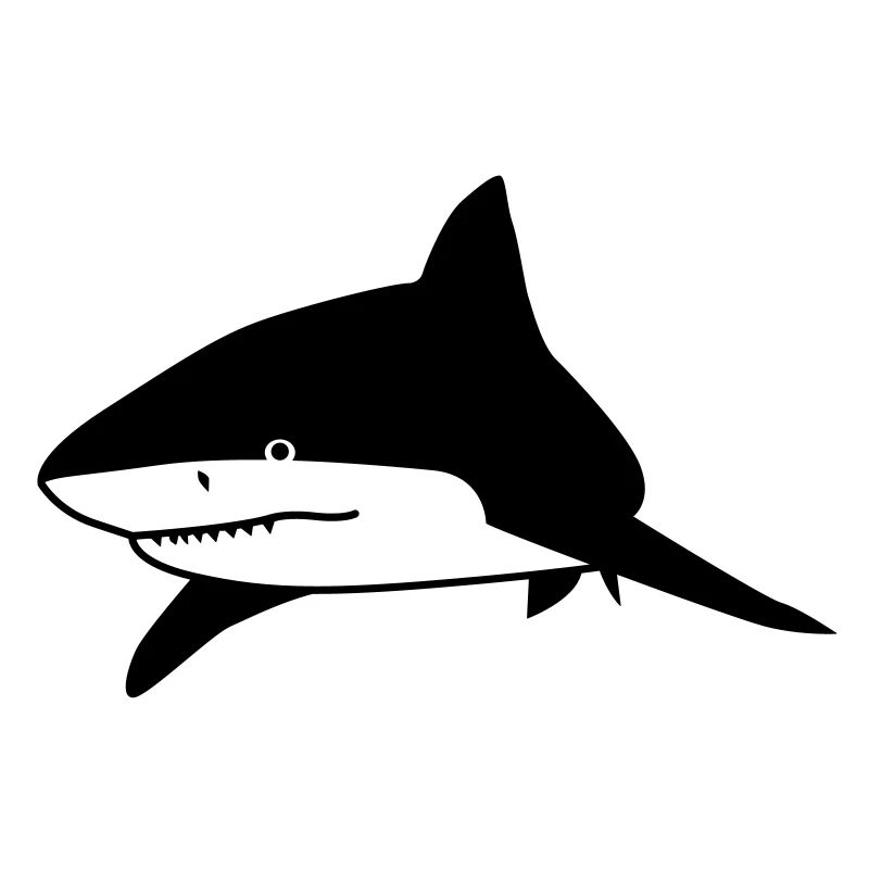 shark animal