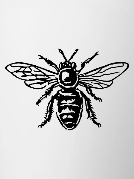 Biene