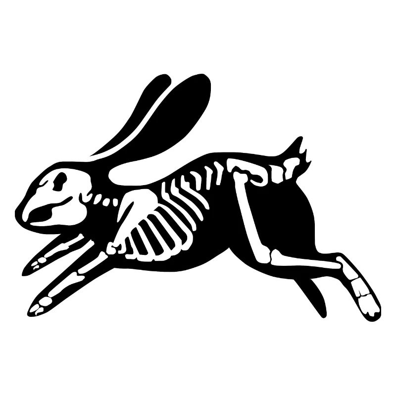 Black rabbit skeleton.