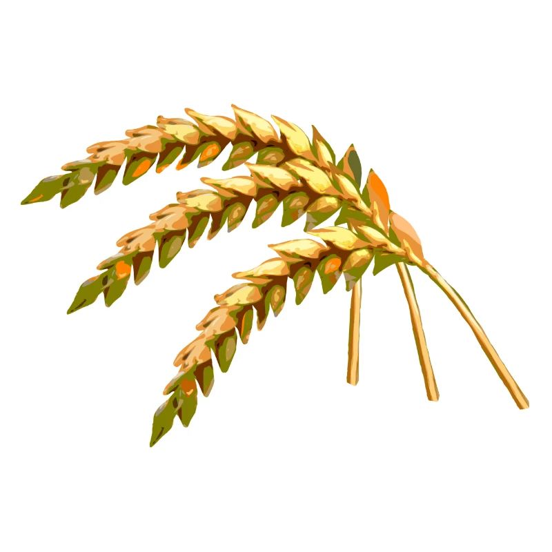 grain