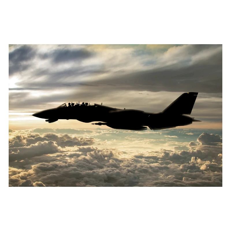 F-14