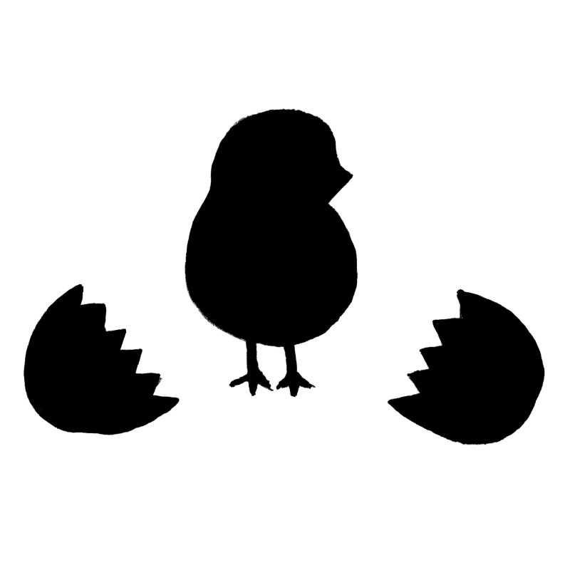 Œuf de poussin