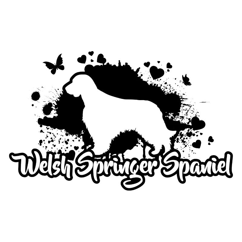 WELSH SPRINGER SPANIEL Race de chien Chiens Wilsigns