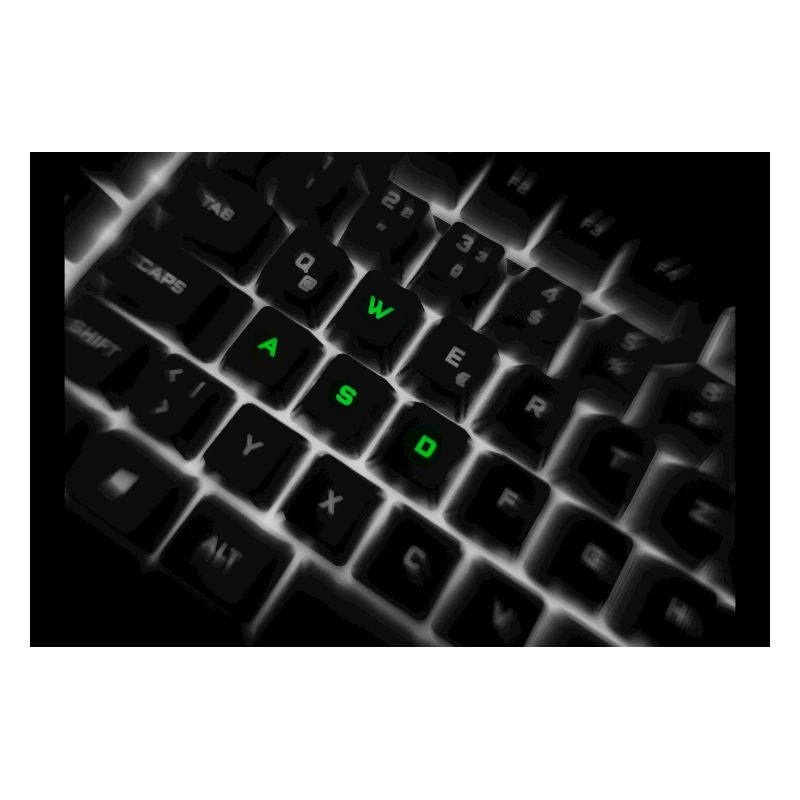 Impression d’art sur le clavier néon WASD