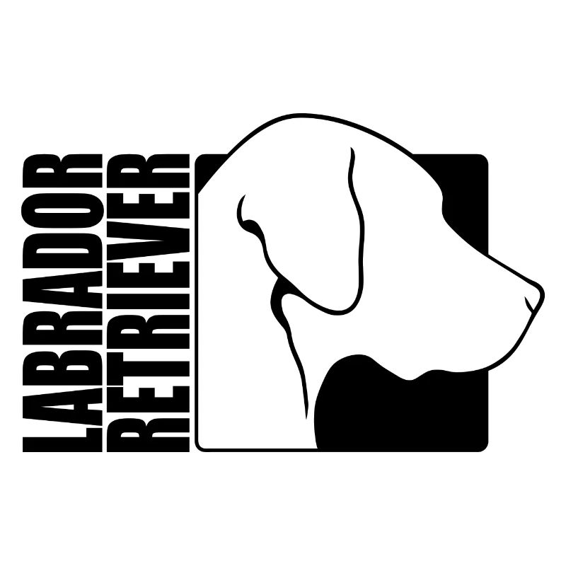 Labrador Retriever Profil Labbi Hunde Wilsigns