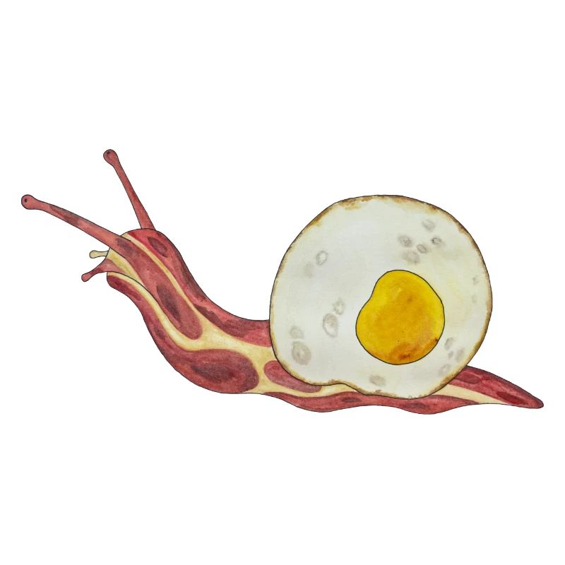 Bacon Roll Bacon et oeuf Oeuf au plat
