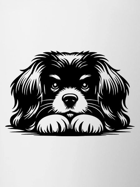Tibetan Spaniel Head with Paws