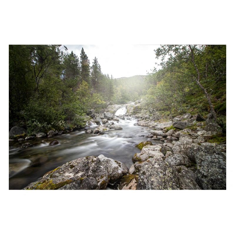 Flusslandschaft im Waldwald