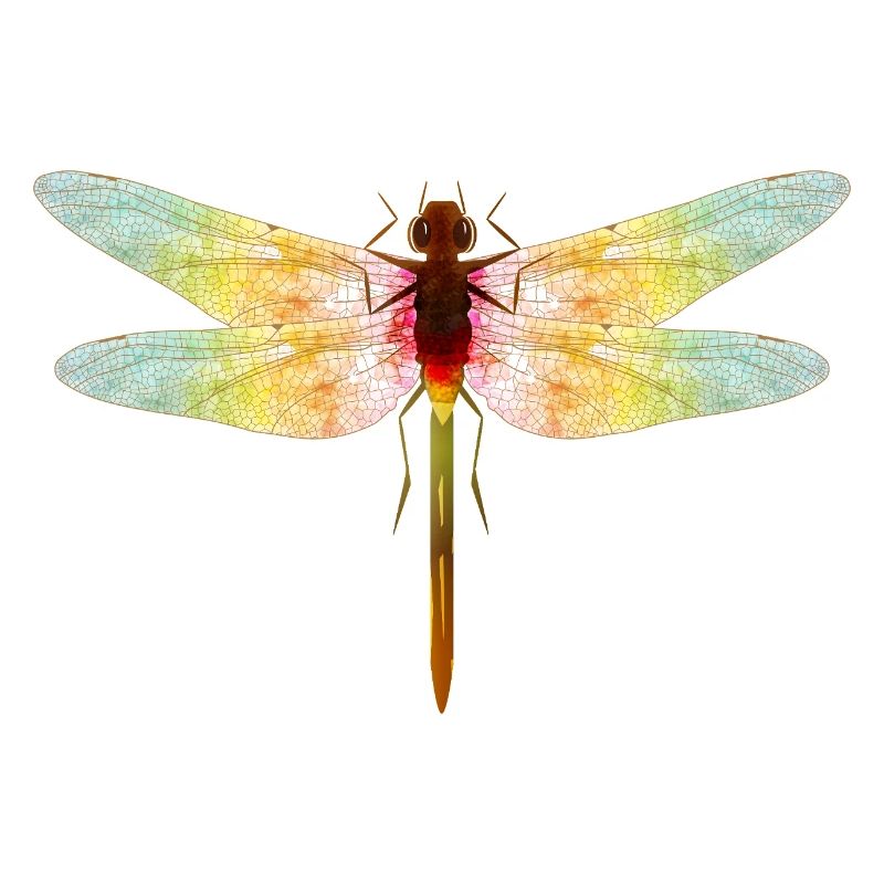 Schillernde Libelle – Filigranes Insektenmotiv