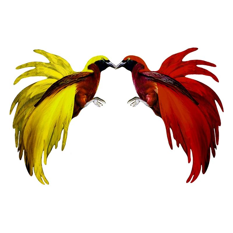 2 petits oiseaux de paradis jaune, rouge