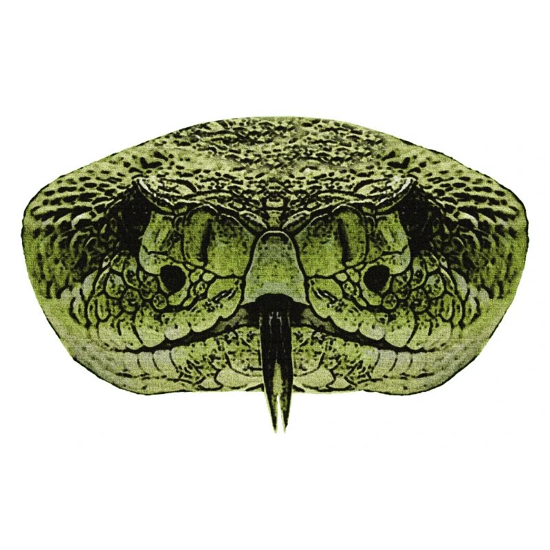 beste reptilien tees, schlangengesicht