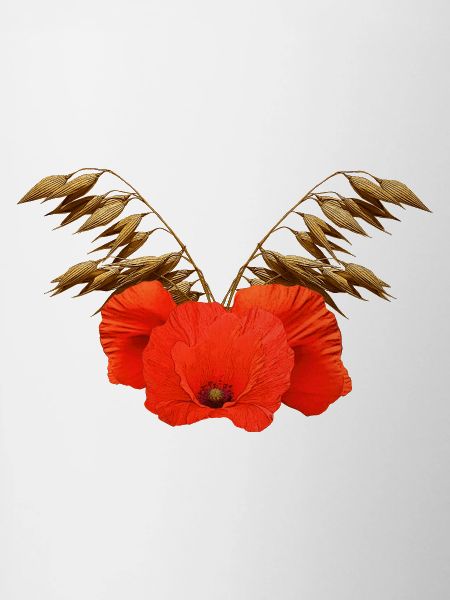 ländliche blumenmuster, Mohnmuster mit Hafer
