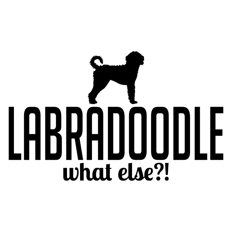 Labradoodle what else Hundespruch Hunde