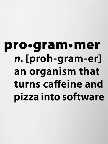 Programmer Wörterbuchdefinition