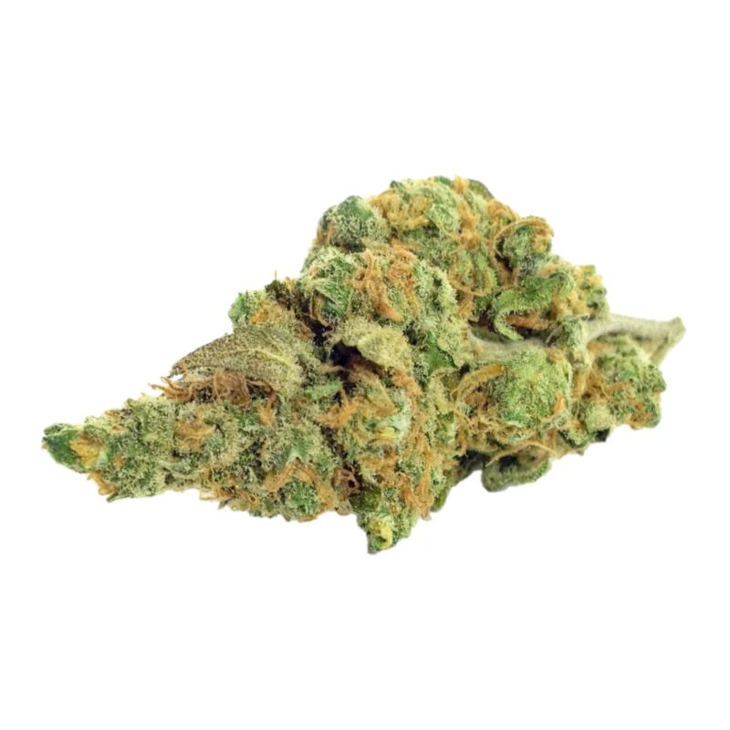 Single Cannabis / Weed Bud / Fleur