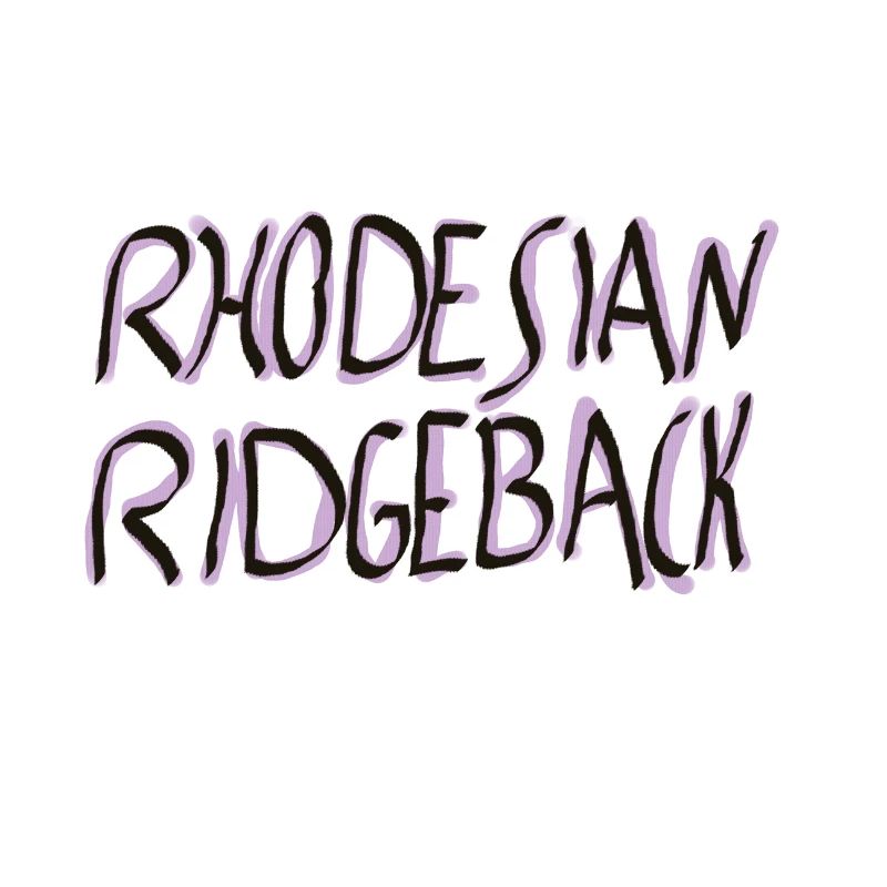 Rhodesian Ridgeback SchriftzugDesign