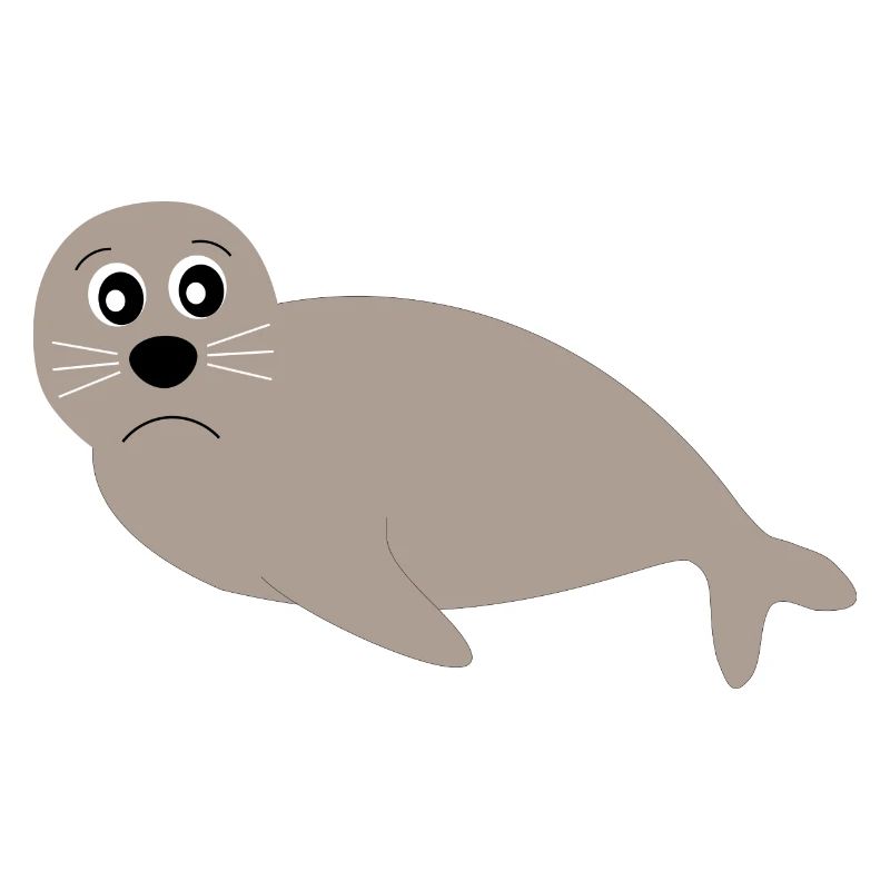 phoques phoques phoques animaux