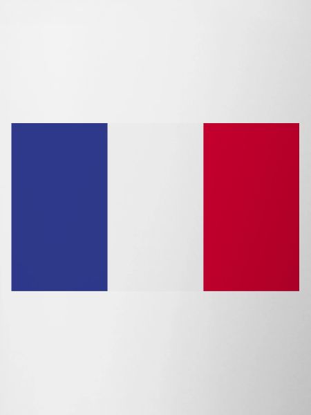 France National Flag