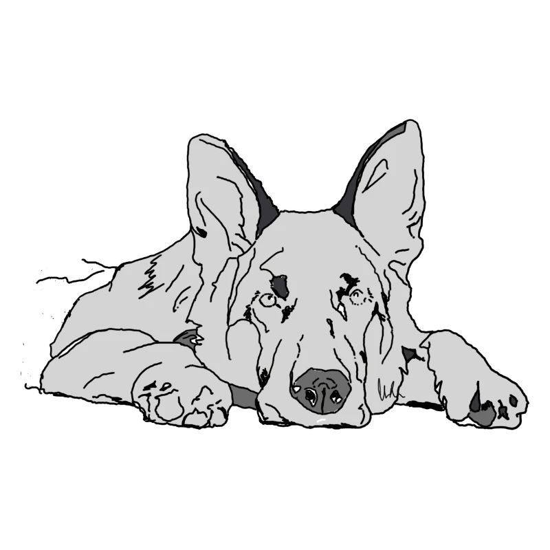 Chien de berger
