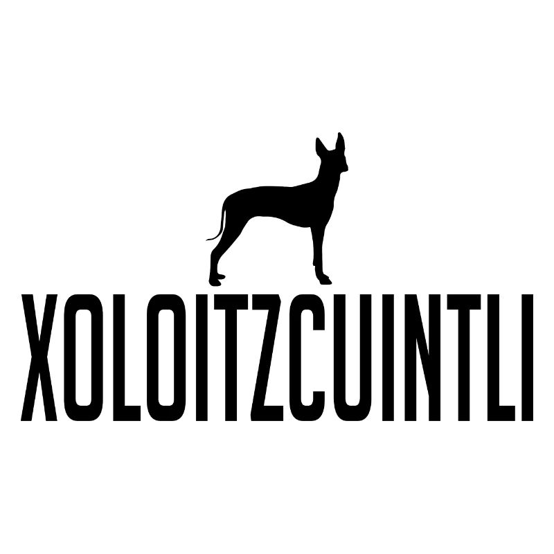 Xoloitzcuintli Races de chiens Chiens Chiens Wilsigns