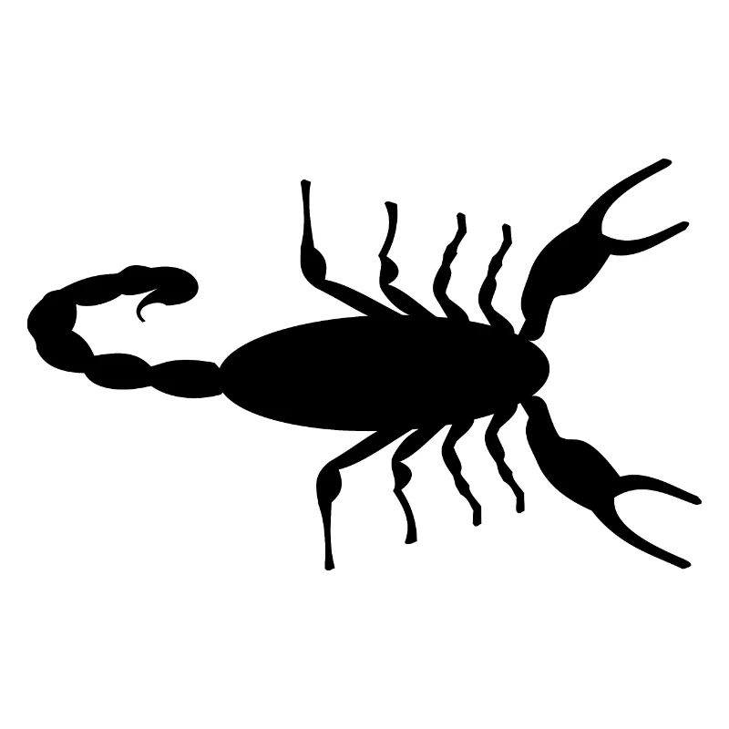 Venomous Animals Emperor Scorpion