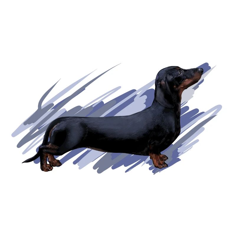 Dackel