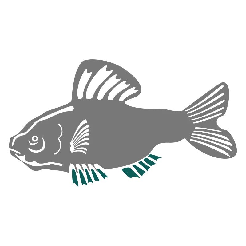 Poisson-chat gris avec accent turquoise