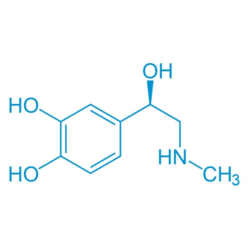 adrenalin epinephrin