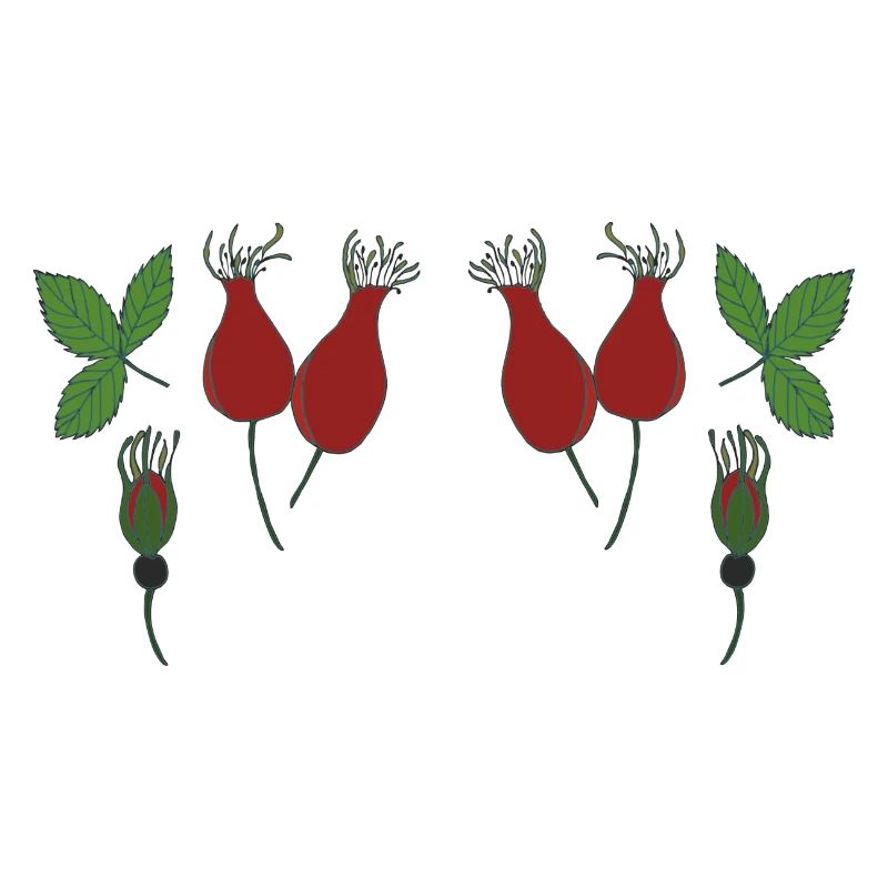 Rosehip in the forest