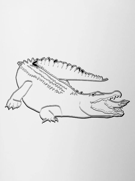 Crocodile lineart