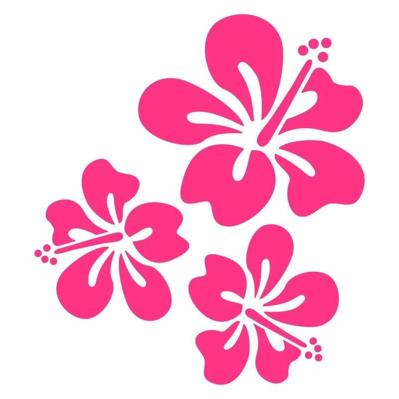 fleurs d'hibiscus d'été