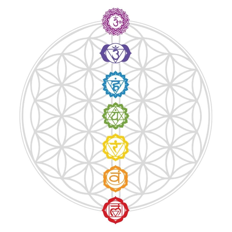Fleur de Vie & Chakras