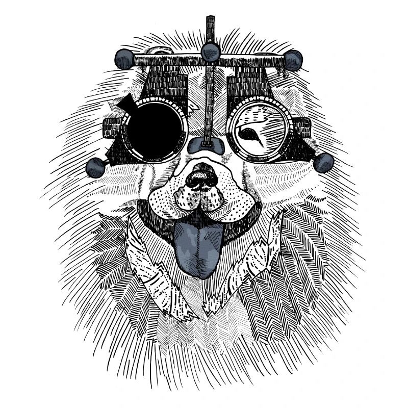 Optometrist dog with trial glasses