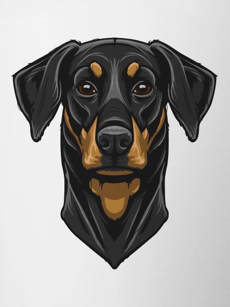 Dobermann