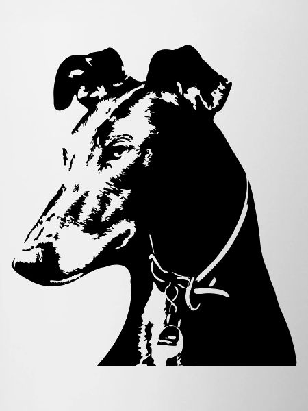 Galgo head