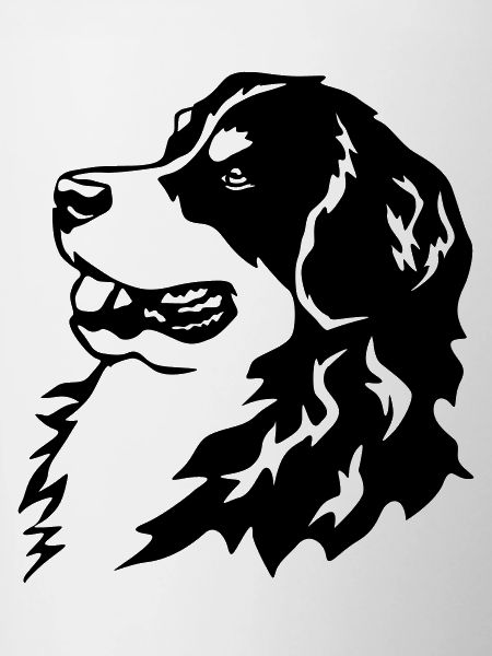 Bernese Mountain Dog head