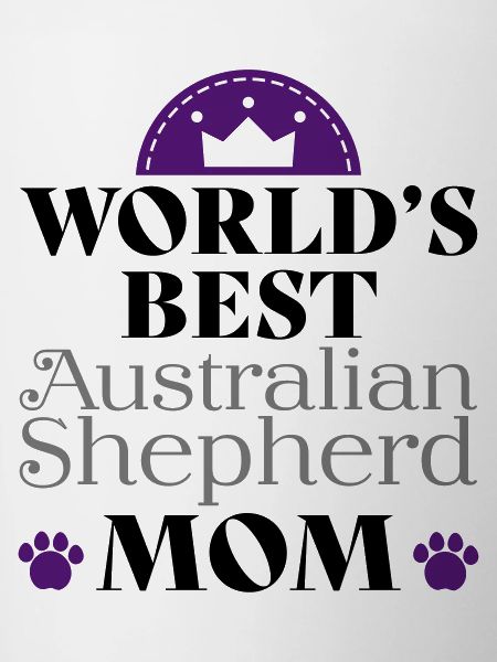 Australian Shepherd