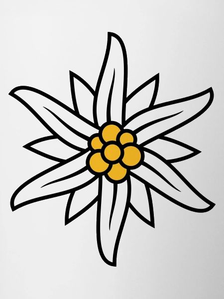 Edelweiss Bergblume logo