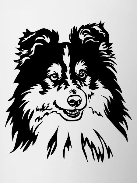 Sheltie Head