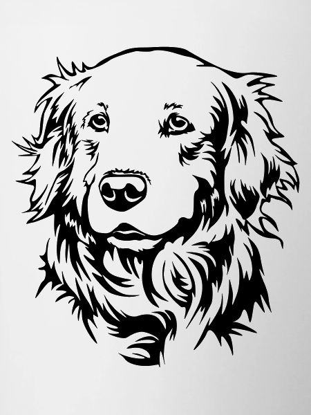 Golden Retriever Head