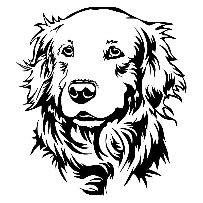 Golden Retriever Kopf