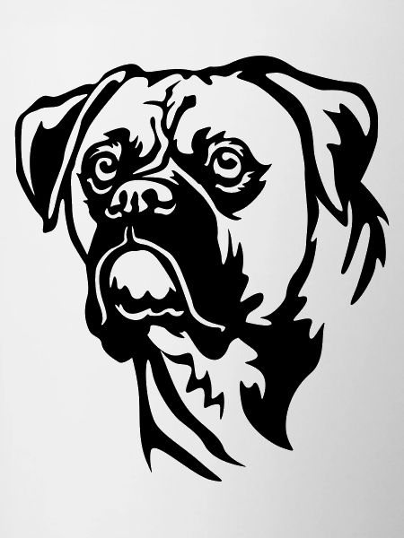 Boxer Head