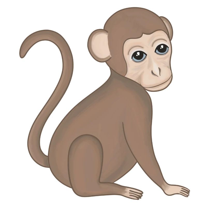 Monkey Baby Monkey