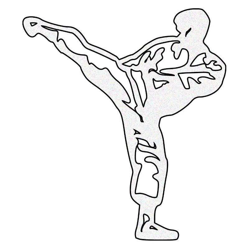 Karaté Argent