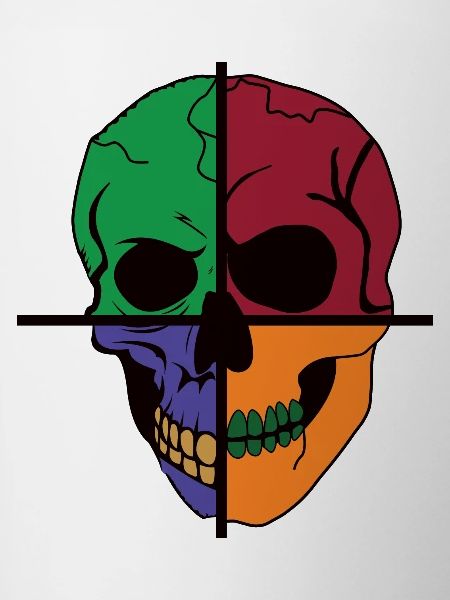 Four Divided Skeletal Skulls